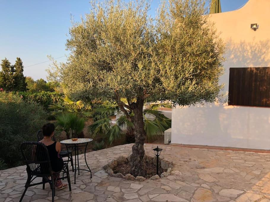 Casa En Ibiza Con Vistas Increibles En Es Figueral Villa Ngoại thất bức ảnh